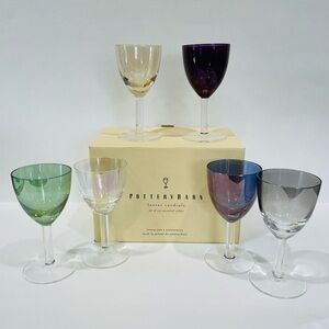 Pottery Barn Elegant Purple and Green Wine Glasses